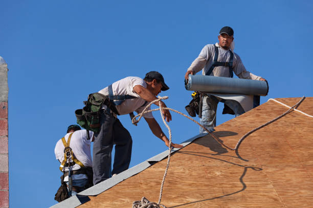 Best Commercial Roofing Services  in Bunker Hl, IL