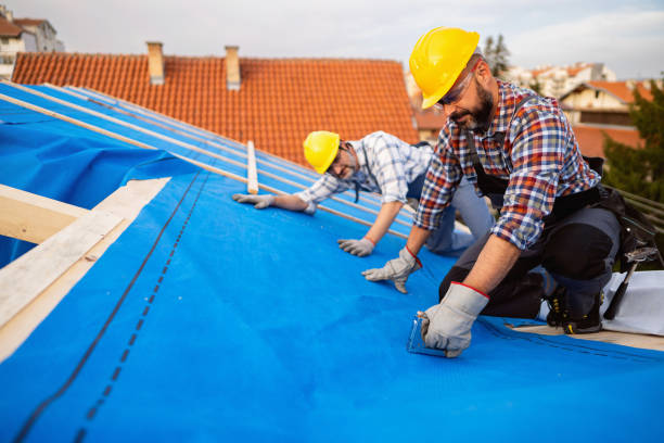 Best Roof Repair Services  in Bunker Hl, IL